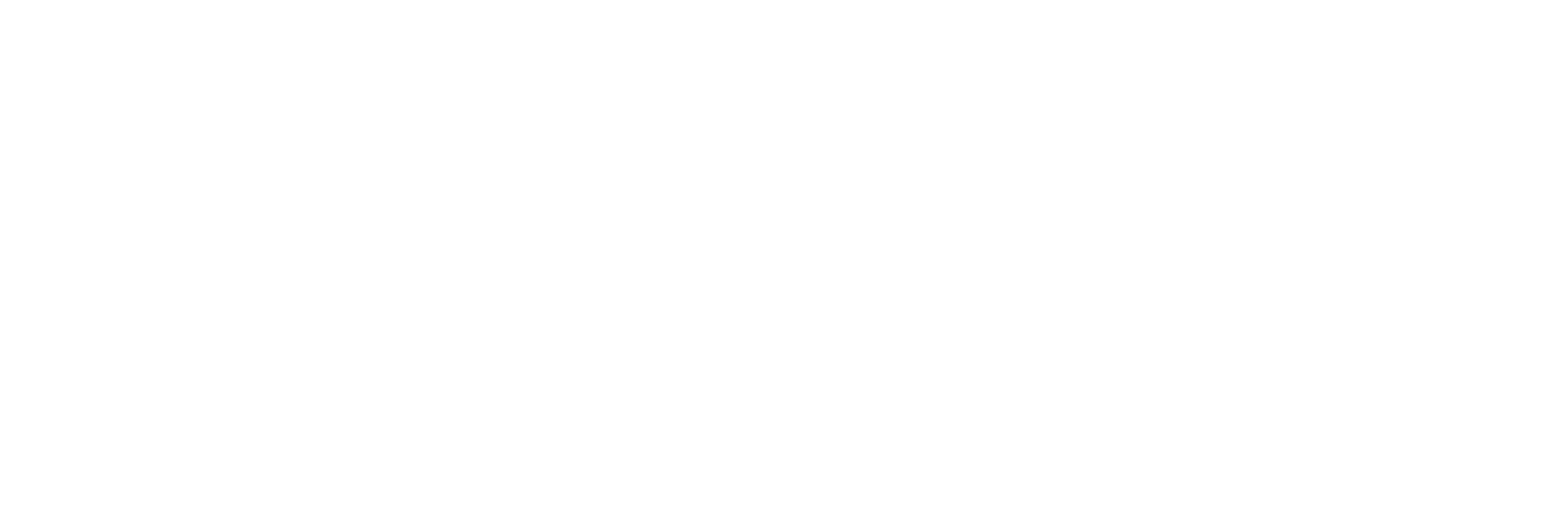 sai-shiko